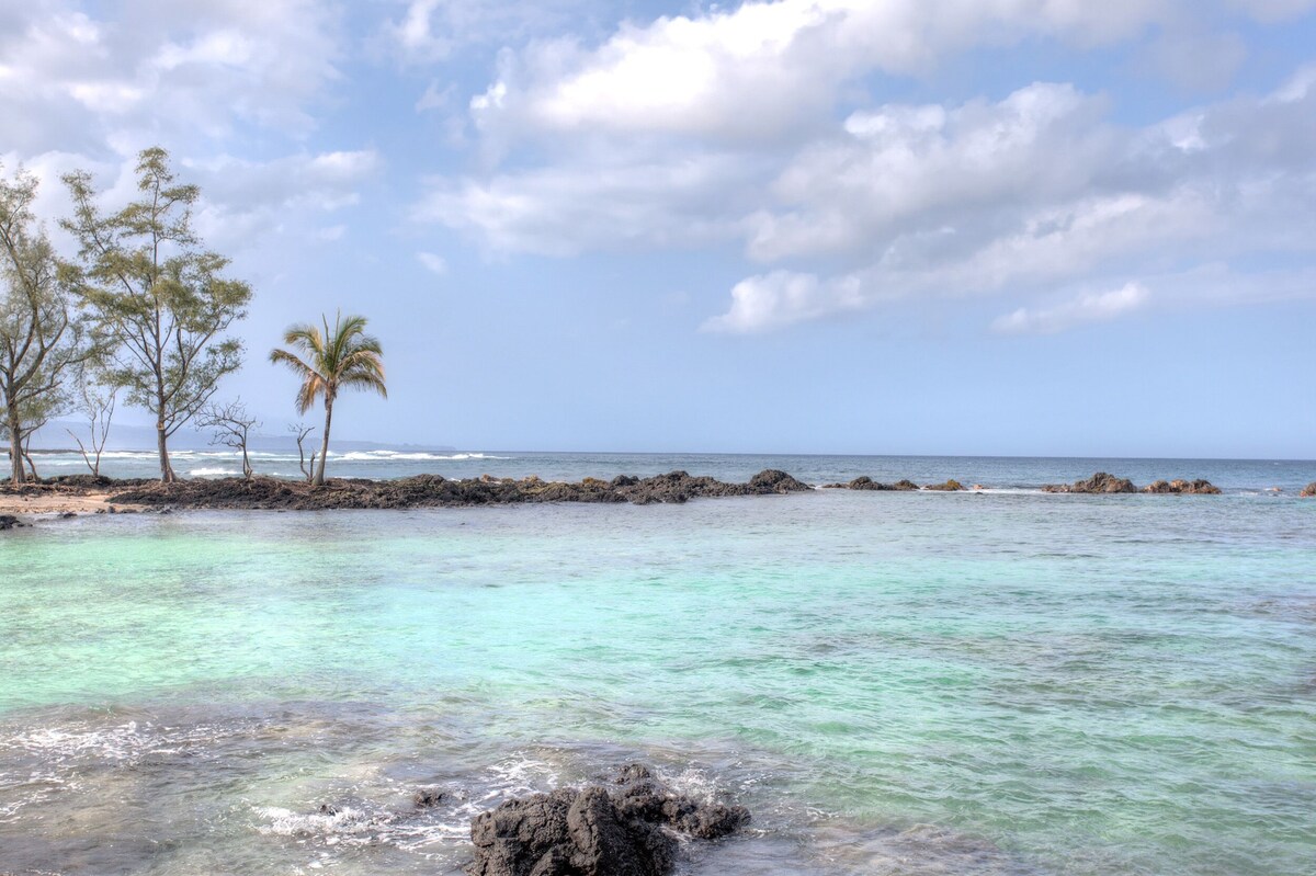Maluhia Kahakai – Swim and Snorkel with Turtles