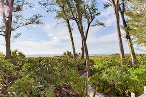 Beach View