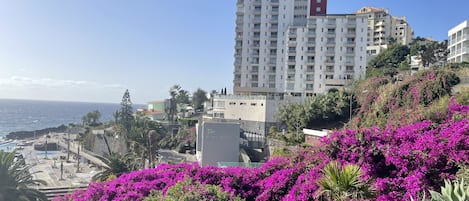 Funchal waterfront apartment.