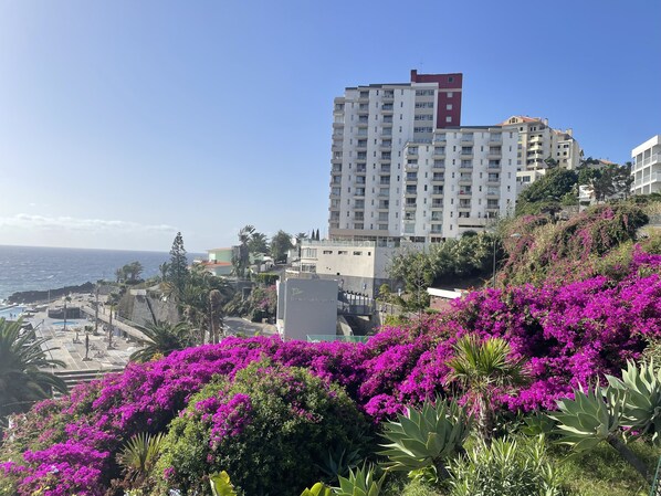 Funchal waterfront apartment.