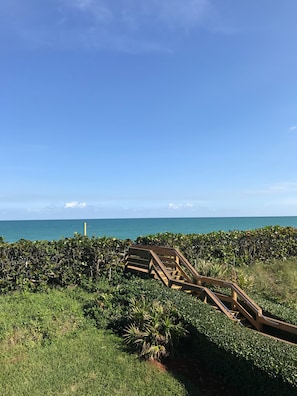 Beautiful view from balcony 
