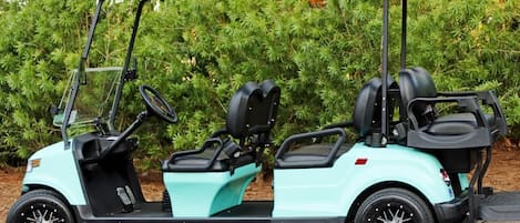 new 2021 6 passenger golf cart
