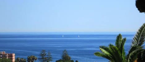 Vue sur la plage ou l’océan