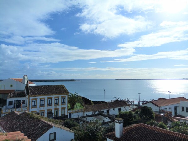 Beach/ocean view