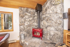 Alpine Retreat Living Area Fireplace - Alpine Retreat Living Area Fireplace