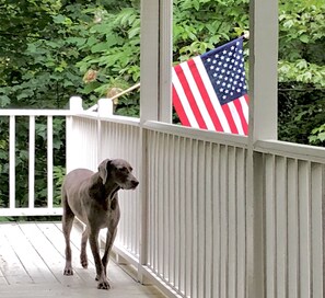 Gated covered porch & open sundeck make for a relaxed place for you & your pups!