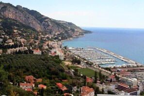 Seen park of olive trees, Sea, Mountains