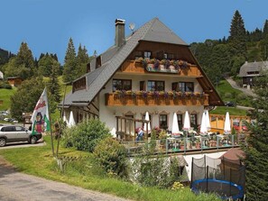 Hotel Höhengasthof Grüner Baum, (Feldberg), LHS 04580-Hotel Höhengasthof Grüner Baum