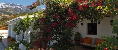 Casa Almendros , beautiful terraces 