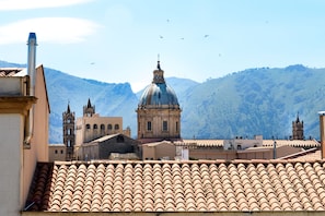 Cathedral view from the balcony with flight of seagulls