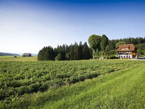 Gasthaus Schweizerhof, (Titisee-Neustadt), LHS 04357