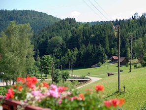 Terrain de l’hébergement 