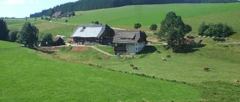 Altvogtshof, (Furtwangen), LHS 00778-Aussenansicht