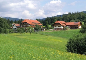 Hotel zum Breitenberg, (Bad Peterstal-Griesbach), LHS 00627-Natur pur