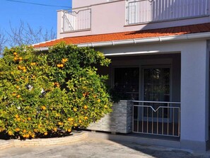 external view