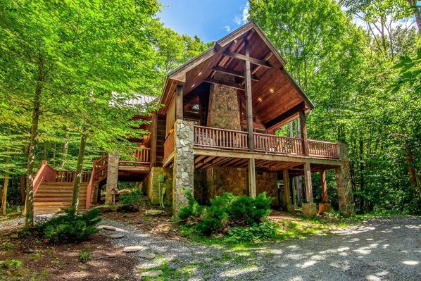 Welcome to Chestnut Falls!