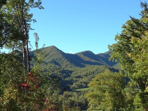 View from your covered porch.