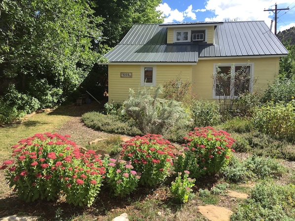 Front Yard and House