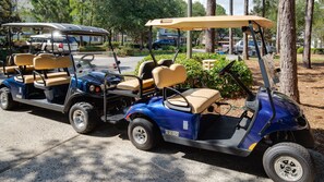 2 Golf Carts Included