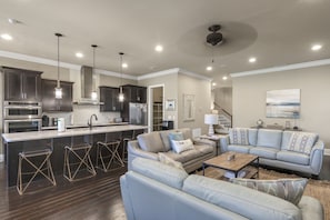 Living Area and Kitchen