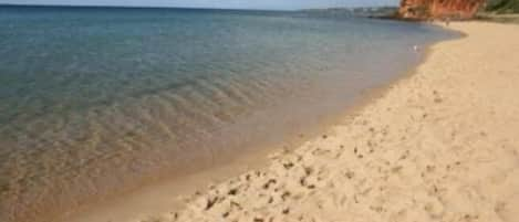 View of Shire Hall beach. 