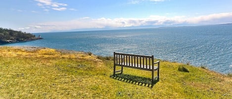 Whale Watch Point is perched high on a bluff looking out to Haro Strait on the coveted West side of San Juan Island.