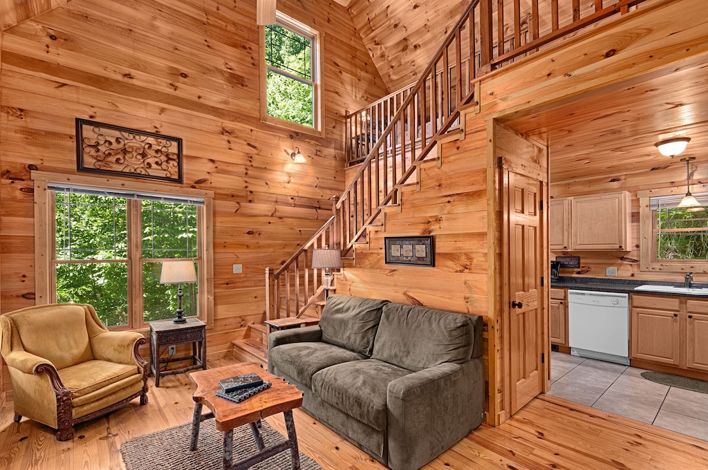 Asheville Nc Dog Friendly Cabins