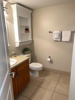 Main bathroom in entry hall - equipped with shower