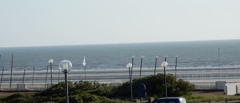 Vue de la terrasse 