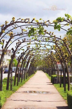 Strandstraße in Baabe