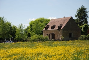 VIEW FROM MEADOW