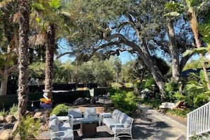 Expansive private gated front yard with 300 year old oak tree