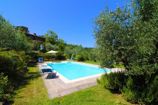 Water, Plant, Property, Swimming Pool, Sky, Tree, Natural Landscape, Shade, Grass, Real Estate