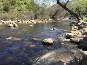 The River 04/03/18
