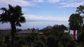 view