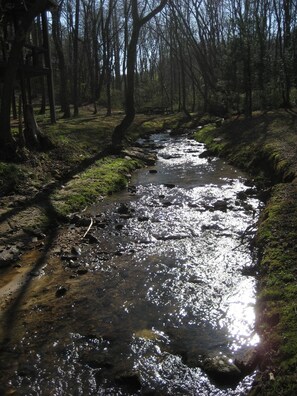 Sunshine reflecting on Meadow Creek!!
