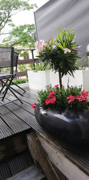 Terras