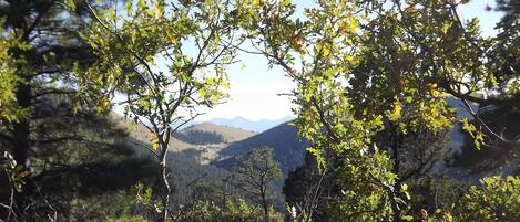 Looking south to the Sangre de Cristo mountains