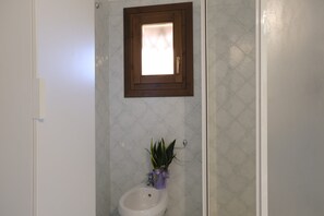Regadera en el baño