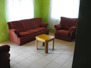 Living Room Cabin #2 Has Hide-a-bed couch.