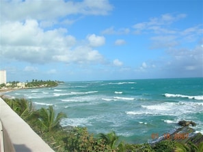 view of the coast taken from rain forest