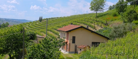 La cascina - The farmhouse