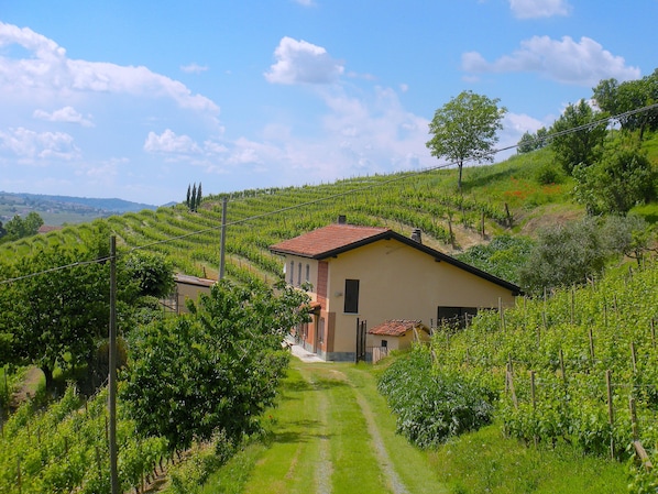 La cascina - The farmhouse