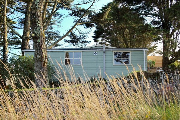 Willow Green Cabin Front View
