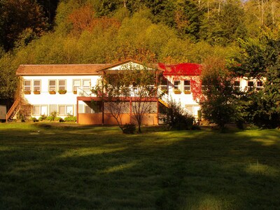 Perfect for groups - common rooms, pool table, sauna, waterfall, pet friendly