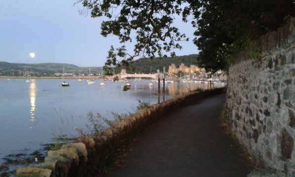 Harbour walk takes you from Conwy to Conwy marina superb array of boats to view