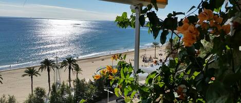 Vista desde la terraza