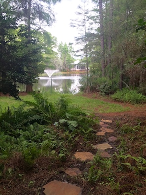 View from patio