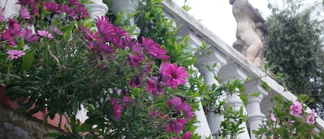 Außendetails