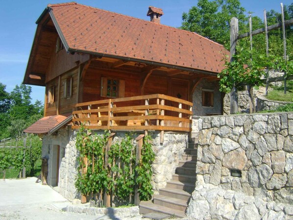 external view